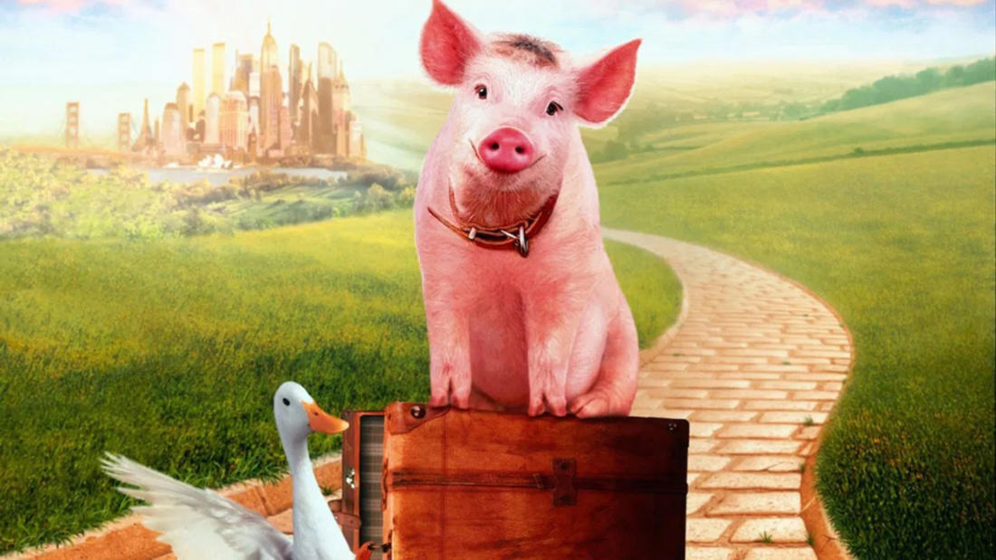 Babe pig in the city sos