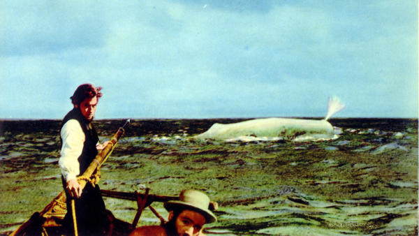 Moby Dick