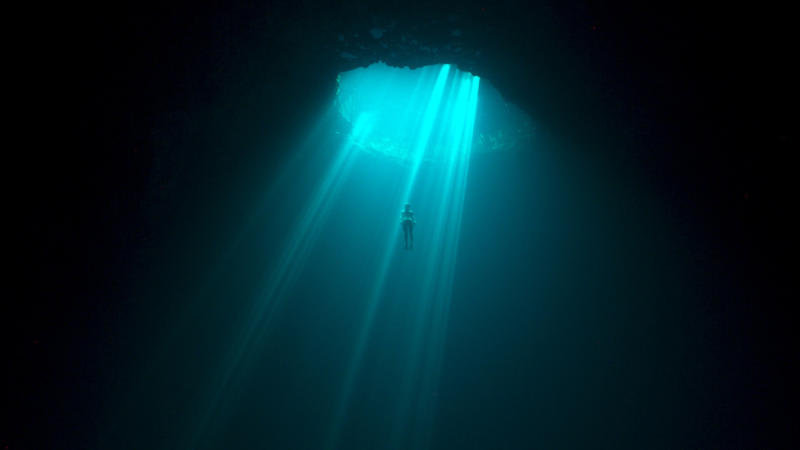 Plumbing the depths: Insights into the physiology of freediving