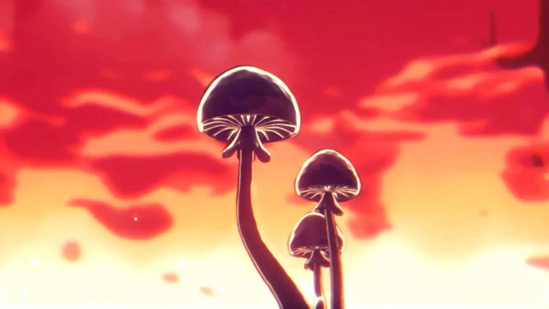 2025 fungi film fest sos