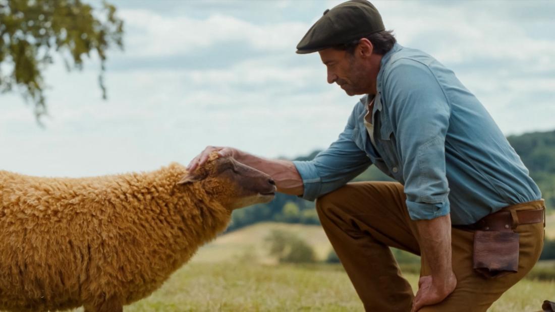 Sheep Detectives
