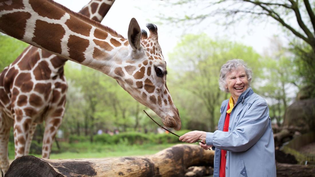 Woman Who Loves Giraffes