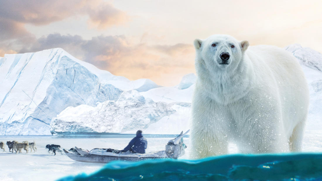 Arctic our frozen planet sos