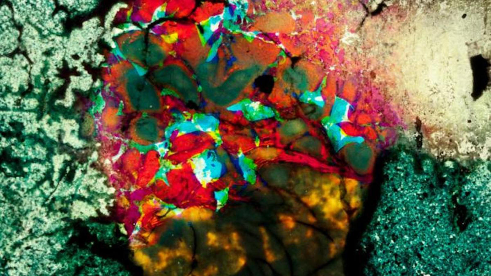 Shorts Program: Experiments in Emulsion