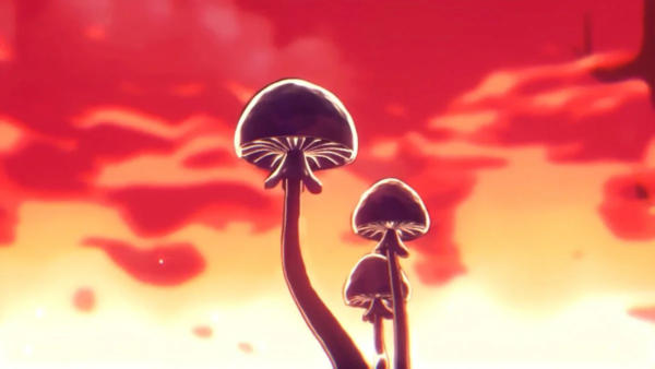 2025 Fungi Film Festival