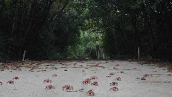 Island of the Hungry Ghosts