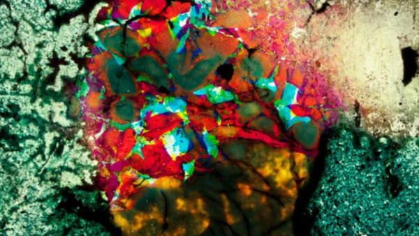 Shorts Program: Experiments in Emulsion