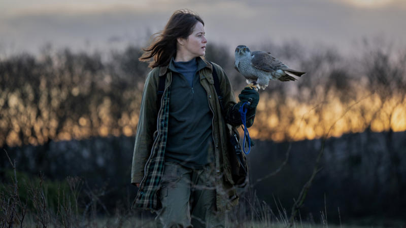 G Is for Goshawk: A Lifetime Pursuing North America's Most Mysterious Hawk