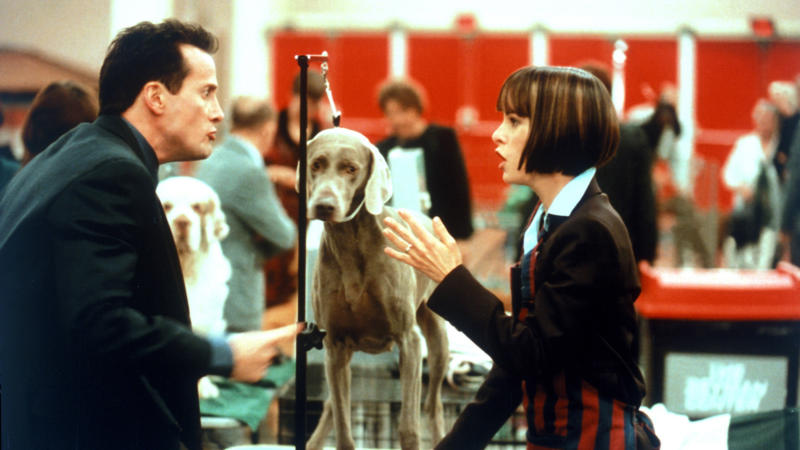 Breeds on the Brain: How We Shaped Dog Behavior