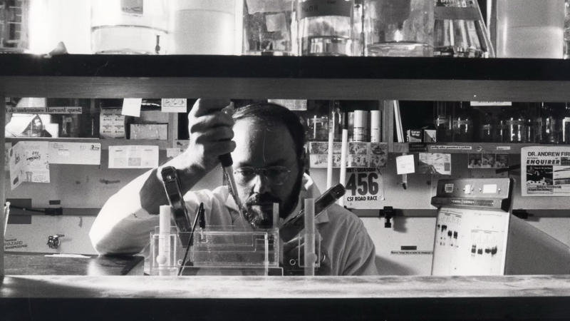 Cracking molecular biology