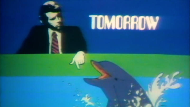 Psychedelics, dolphins, and you
