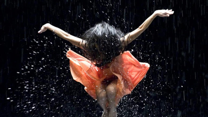 What Moves Us: Pina Bausch and Embodied Cognition