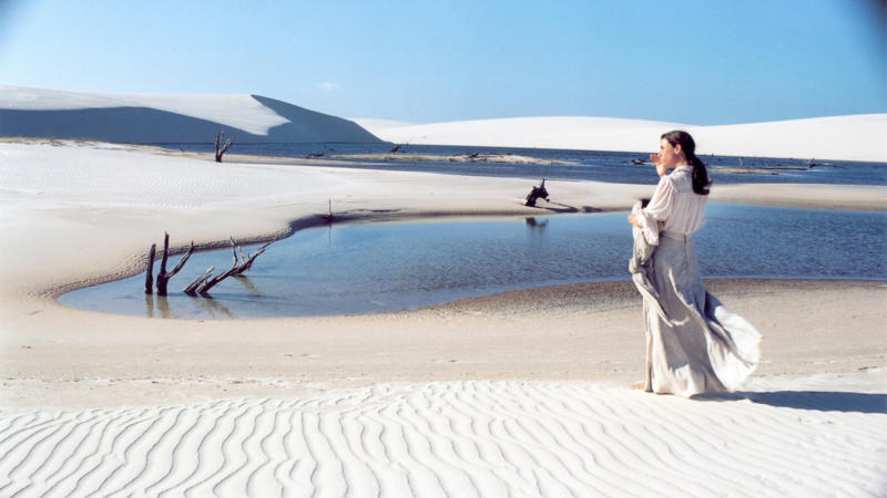 Shaping the Dunes: Exploring Life in an Everchanging System