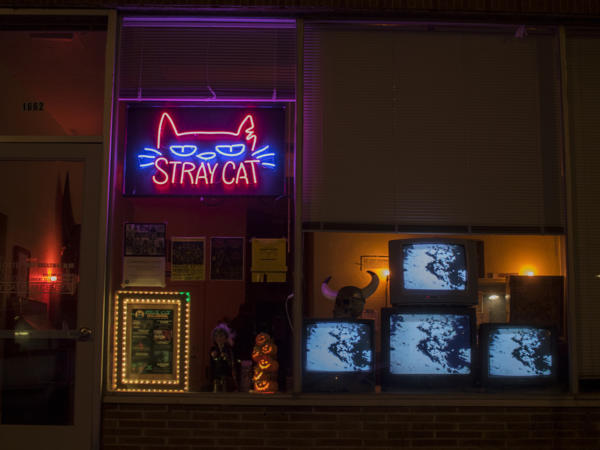 Stray Cat Film Center