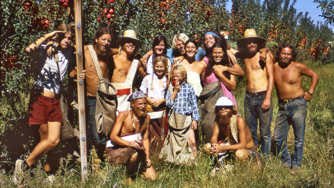 Evolution Of Organic